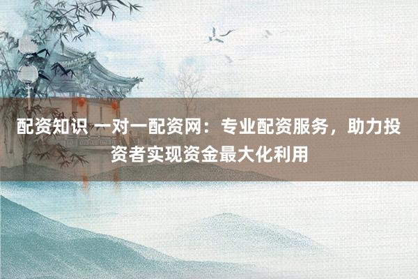 配资知识 一对一配资网：专业配资服务，助力投资者实现资金最大化利用
