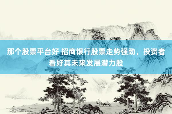 那个股票平台好 招商银行股票走势强劲，投资者看好其未来发展潜力股