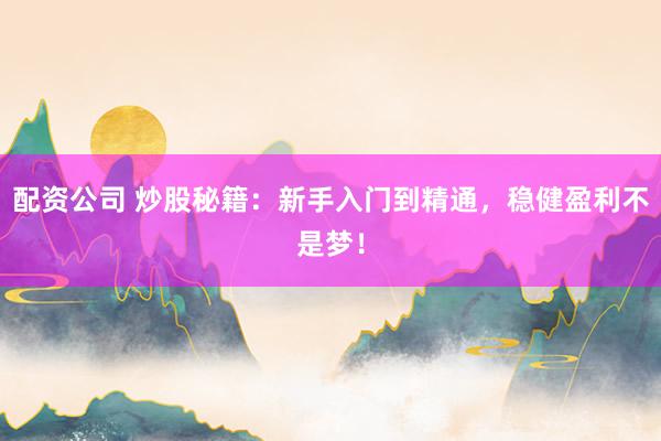 配资公司 炒股秘籍：新手入门到精通，稳健盈利不是梦！