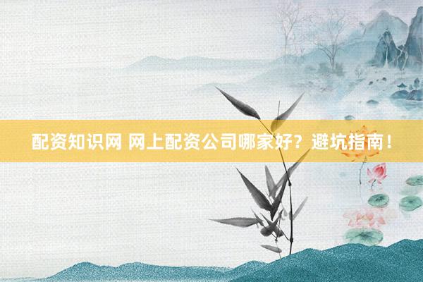 配资知识网 网上配资公司哪家好?避坑指南!