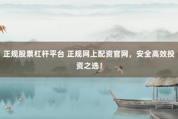 正规股票杠杆平台 正规网上配资官网，安全高效投资之选！