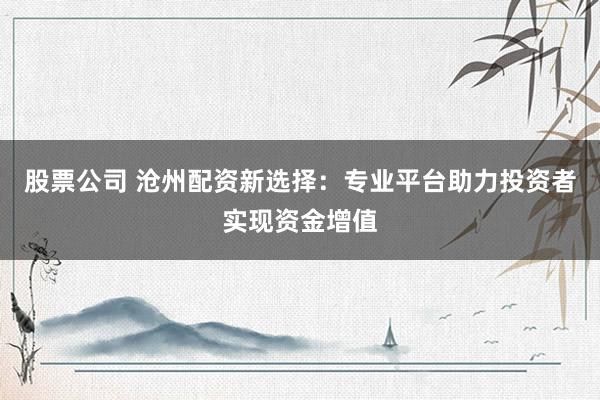 股票公司 沧州配资新选择：专业平台助力投资者实现资金增值