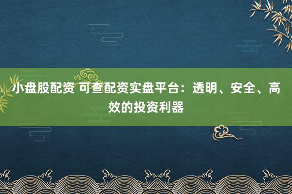 小盘股配资 可查配资实盘平台：透明、安全、高效的投资利器