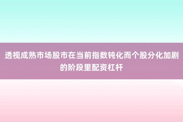 透视成熟市场股市在当前指数钝化而个股分化加剧的阶段里配资杠杆