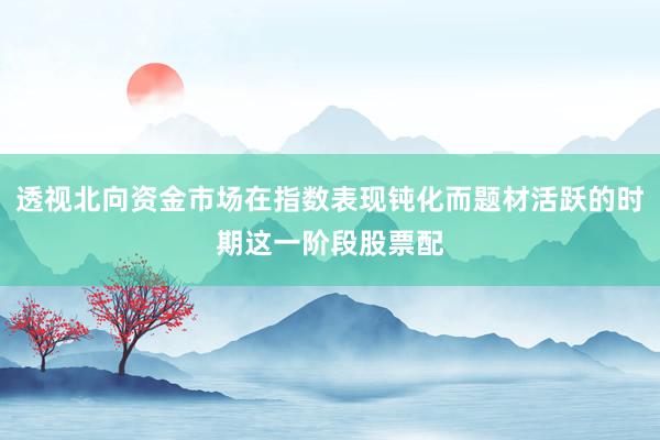 透视北向资金市场在指数表现钝化而题材活跃的时期这一阶段股票配