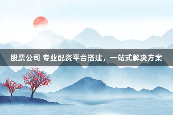 股票公司 专业配资平台搭建，一站式解决方案