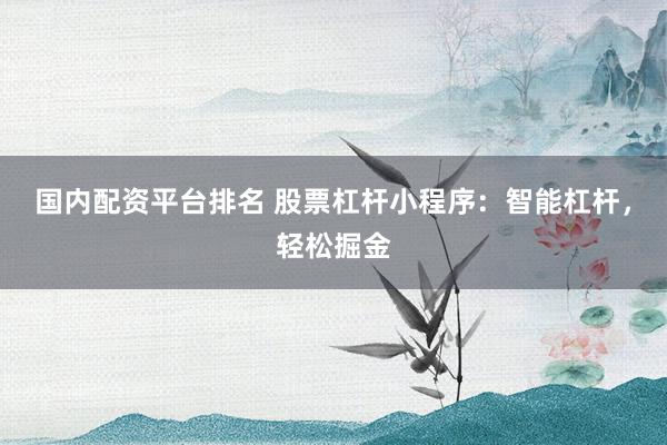 国内配资平台排名 股票杠杆小程序：智能杠杆，轻松掘金