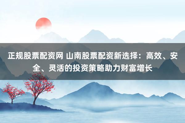 正规股票配资网 山南股票配资新选择：高效、安全、灵活的投资策略助力财富增长
