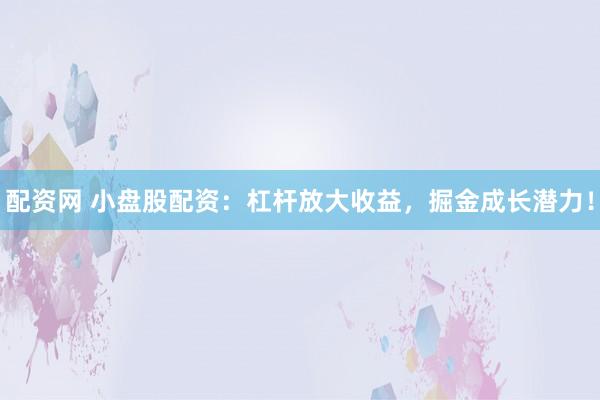 配资网 小盘股配资：杠杆放大收益，掘金成长潜力！